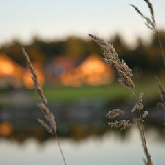 Эко-отель Лепота, Талдомский район, Московская область