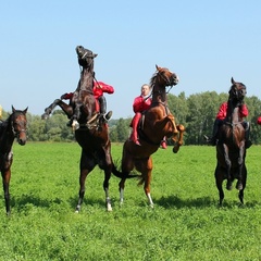 Парк-отель Конное подворье, Москва, Московская область
