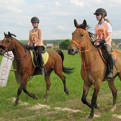 Парк-отель Конное подворье, Москва, Московская область