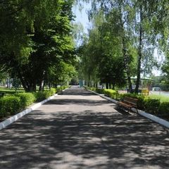 База отдыха Красная гвоздика, Истринский район, Московская область