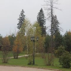 База отдыха Красная гвоздика, Истринский район, Московская область