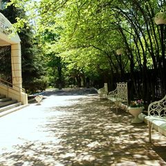 Парк-отель Шереметьевский, Москва, Московская область