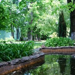 Парк-отель Шереметьевский, Москва, Московская область