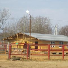 Конно-туристическая база Храброво, Можайский район, Московская область