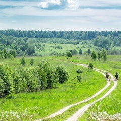Конно-туристическая база Храброво, Можайский район, Московская область