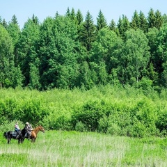 Конно-туристическая база Храброво, Можайский район, Московская область