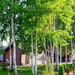 Усадьба Лидино, Воскресенский район, Московская область