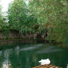 Гостиница Норд Стар, Москва, Московская область