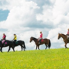 Конно-туристическая база Храброво, Можайский район, Московская область