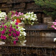 Гостиница Норд Стар, Москва, Московская область