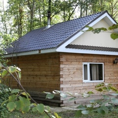 База отдыха Лисья нора, Дмитровский район, Московская область