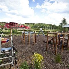 База отдыха Лисья нора, Дмитровский район, Московская область