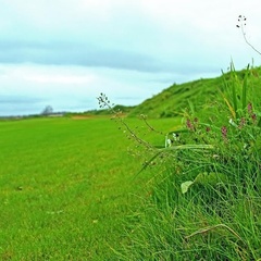 Коттеджный комплекс Sport Point, Химки, Московская область