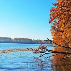 Апарт-отель Корабль, район Мытищинский, Московская область
