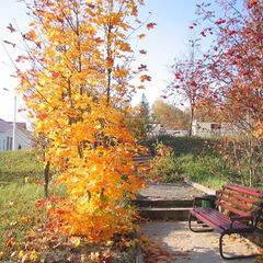 Санаторий «Буран» , Сергиево-Посадский район, Московская область
