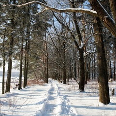 Апарт-отель Корабль, район Мытищинский, Московская область
