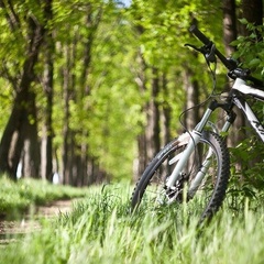 База отдыха Ирсетские Просторы, Республика Мордовия