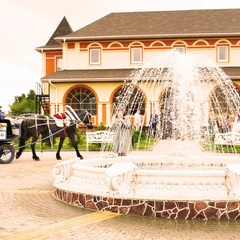 База отдыха Озеро Понти, Раменский район, Московская область