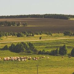 База отдыха Ирсетские Просторы, Республика Мордовия