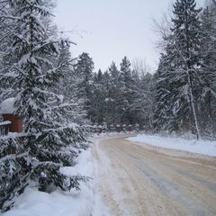 Санаторий «Буран» , Сергиево-Посадский район, Московская область