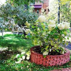 Оздоровительный центр Призыв, Люберецкий район, Московская область