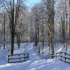 Загородный комплекс Отрада, Красногорский район, Московская область
