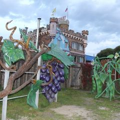 Парк-отель Пространство детской мечты, Москва, Московская область