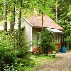 База отдыха Аннушка, Лужский район, Ленинградская область