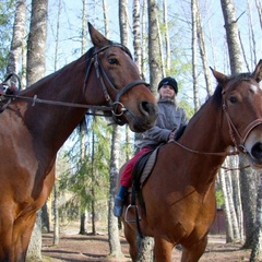 База отдыха Аннушка, Лужский район, Ленинградская область