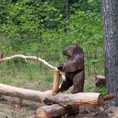 База отдыха Аннушка, Лужский район, Ленинградская область