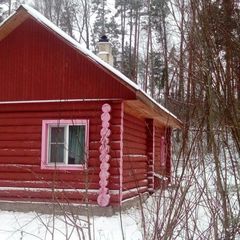 Загородный комплекс Снегурия, Тихвинский район, Ленинградская область