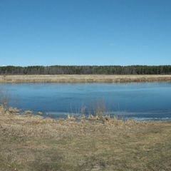 База отдыха Аннушка, Лужский район, Ленинградская область