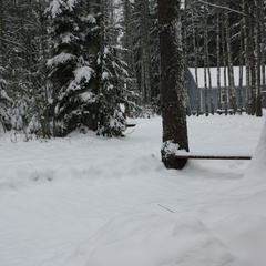 База отдыха Аннушка, Лужский район, Ленинградская область