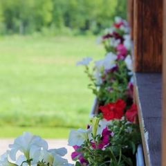 База отдыха Авиатор, Киришский район, Ленинградская область