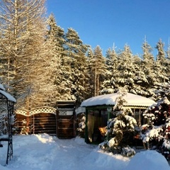 Гостевой дом Викинг, Тихвинский район, Ленинградская область
