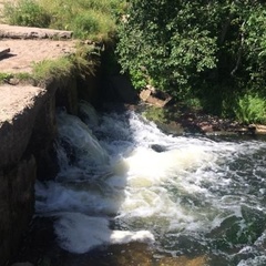 База отдыха Штоль, Лужский район, Ленинградская область