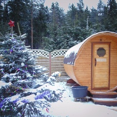 Гостевой дом Викинг, Тихвинский район, Ленинградская область