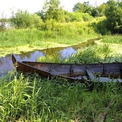 База отдыха Староладожская дача, Волховский район, Ленинградская область