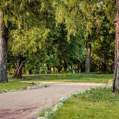 База отдыха Староладожская дача, Волховский район, Ленинградская область