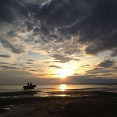 Загородный клуб Скандинавия, Санкт-Петербург, Ленинградская область