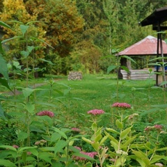 Яхт-клуб Кошкинский фарватер, Всеволожский район, Ленинградская область