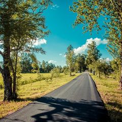 База отдыха Староладожская дача, Волховский район, Ленинградская область