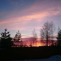 База отдыха Мичуринский дворик, Приозерский район, Ленинградская область