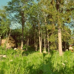 База отдыха Большие камни, Приозерский район, Ленинградская область