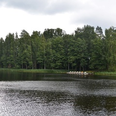 База отдыха Лужская поляна, Лужский район, Ленинградская область