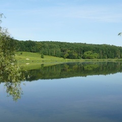 База отдыха Лужская поляна, Лужский район, Ленинградская область