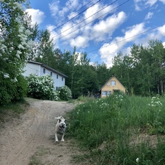 База отдыха Кот Матроскин, Выборгский район, Ленинградская область