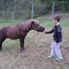 База отдыха Кот Матроскин, Выборгский район, Ленинградская область