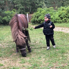 База отдыха Кот Матроскин, Выборгский район, Ленинградская область