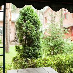 Мотель Карина, Всеволожский район, Ленинградская область